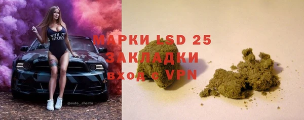 гидра Зеленодольск
