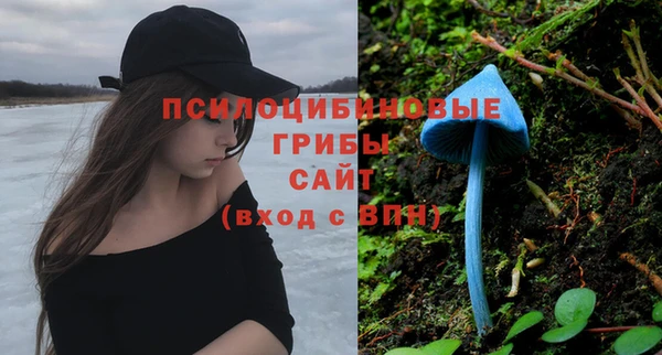 мескалин Зеленокумск
