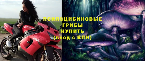 гидра Зеленодольск